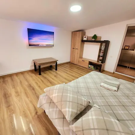 Holiday home Casa Ramona Centru